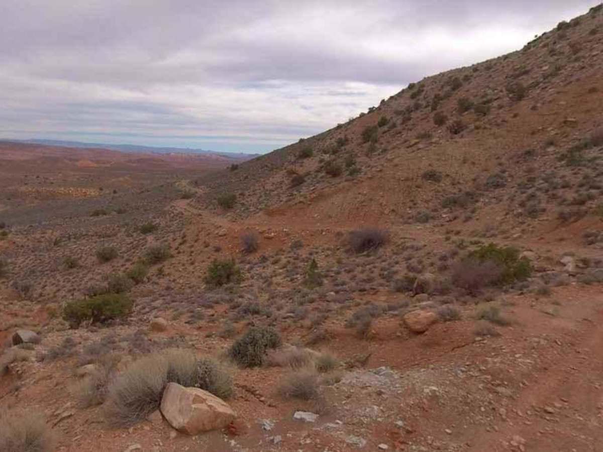 BLM13870 photo 6