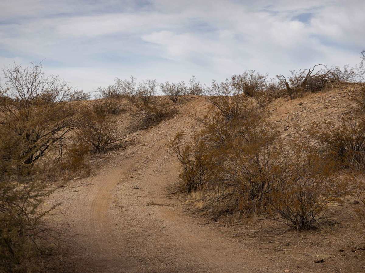 Dead Horse Wash photo 2