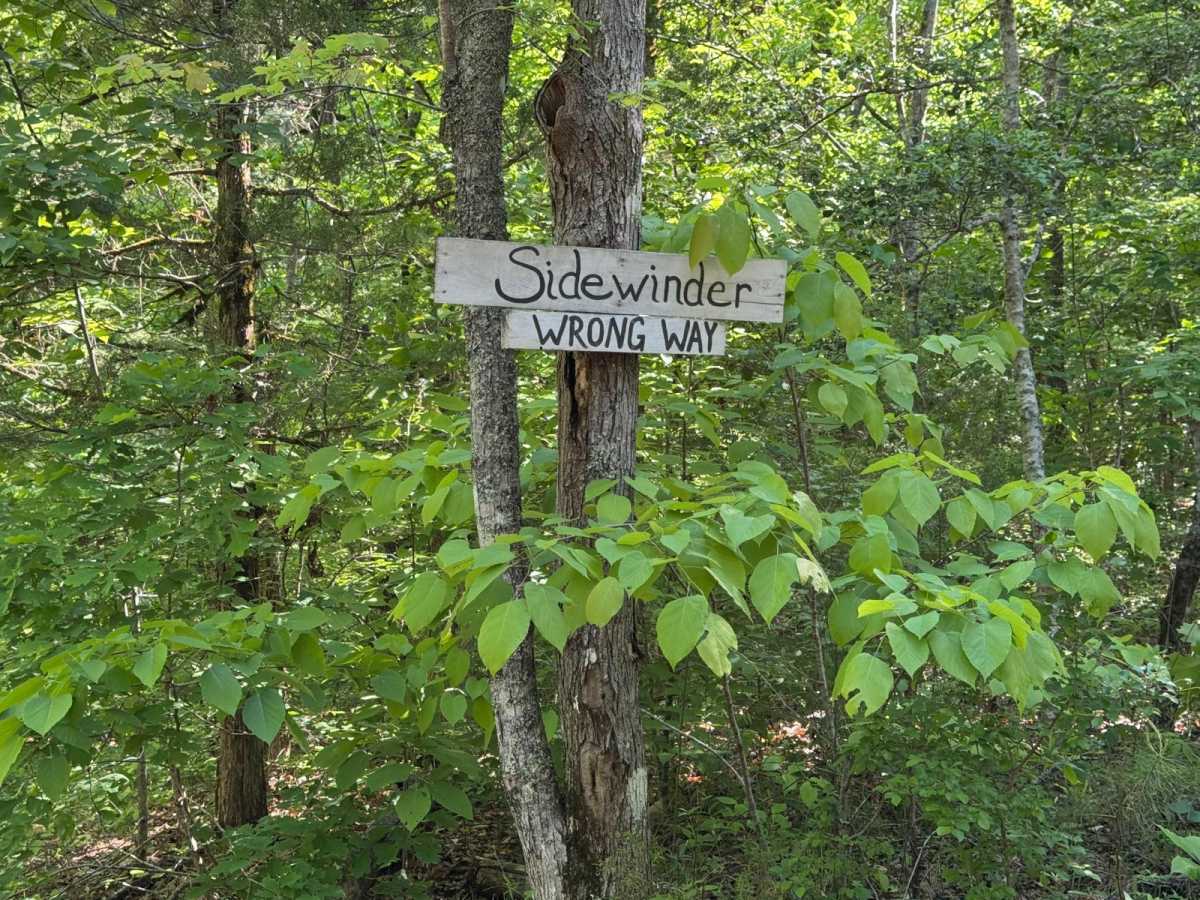 Sidewinder/Tornado Cutoff photo 3