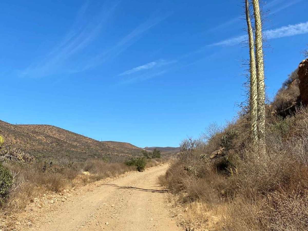 San Quintin Connection photo 4