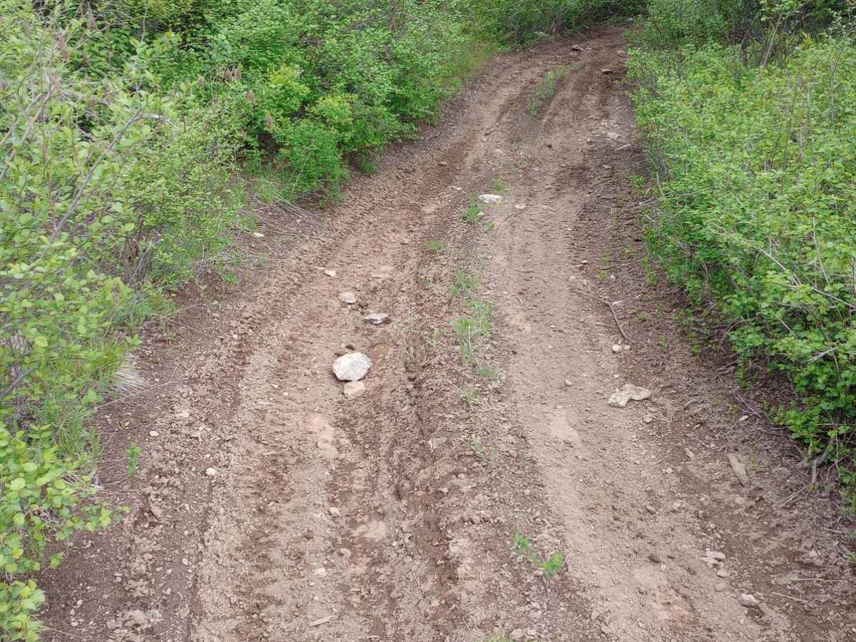 Round Top Mountain Loop photo 6