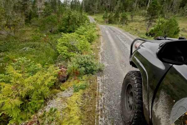 Long Lake - 6271