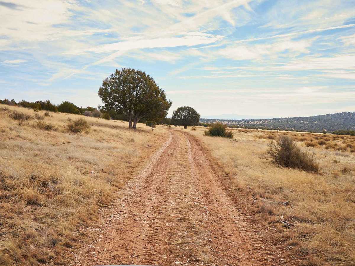 Dirt Fence Bypass photo 3