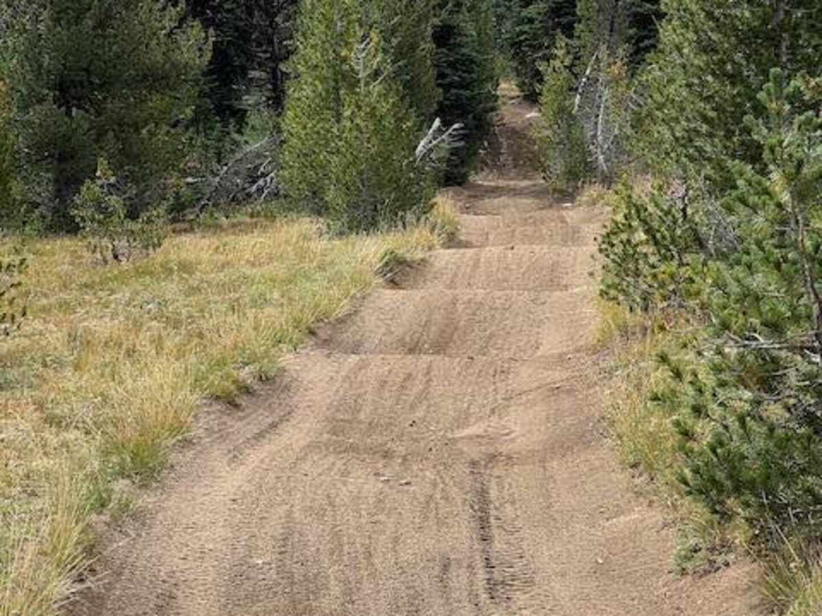 Manastash Trail West photo 4