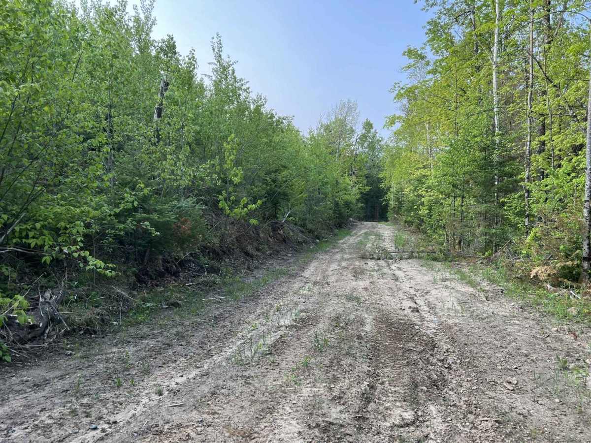 Murry Road trail photo