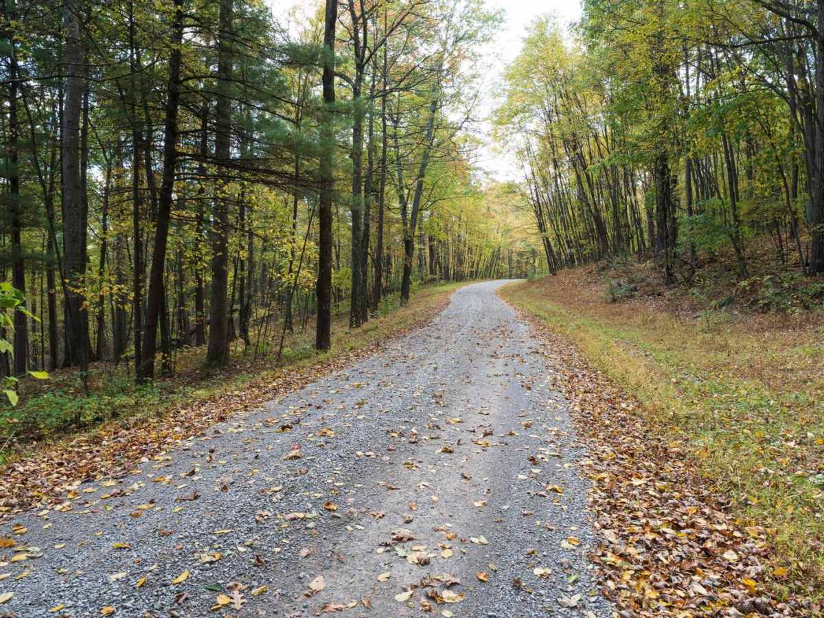 Tram Road trail photo