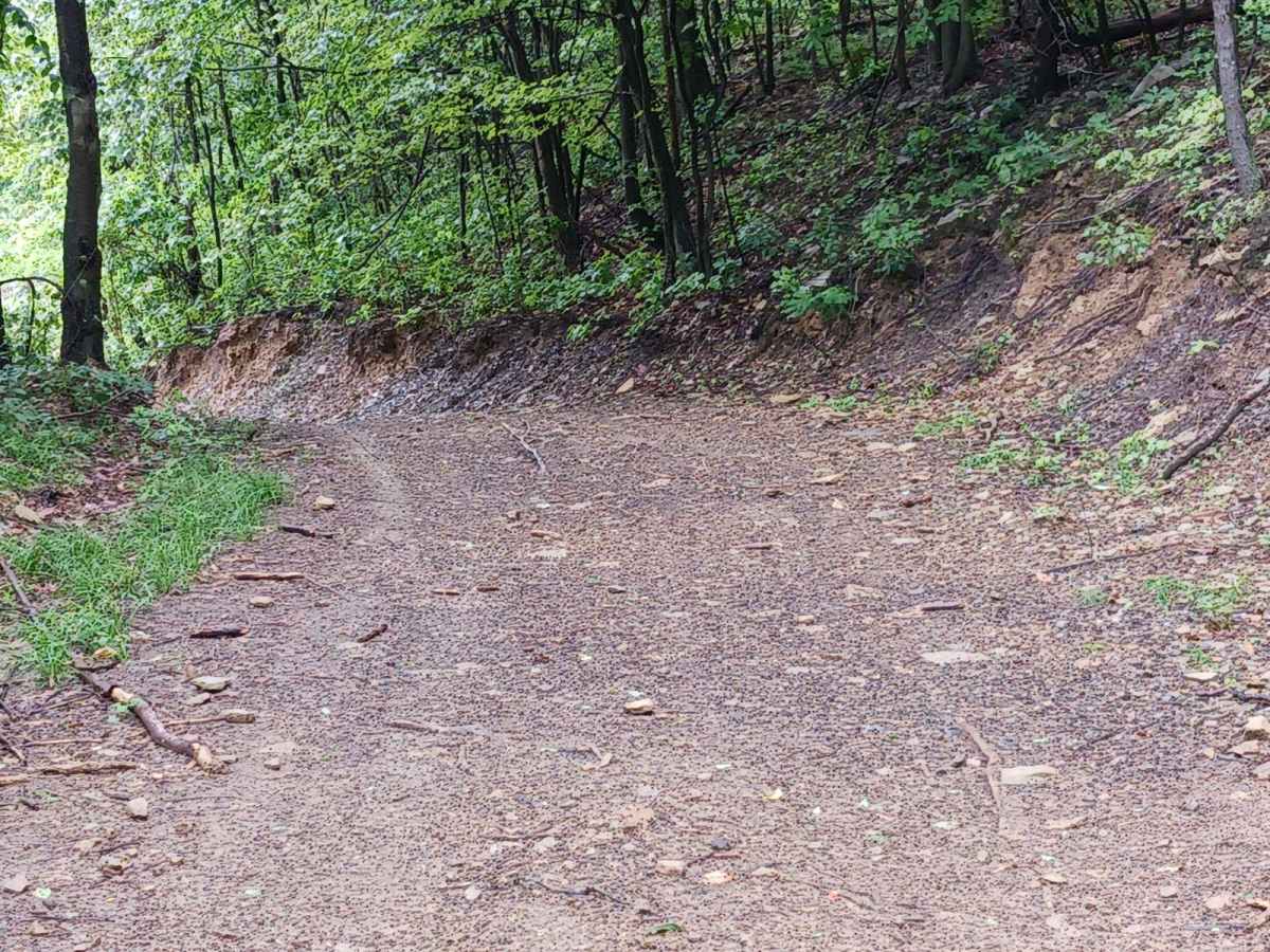 Trail 3F - Rock Run Recreation Area photo 2