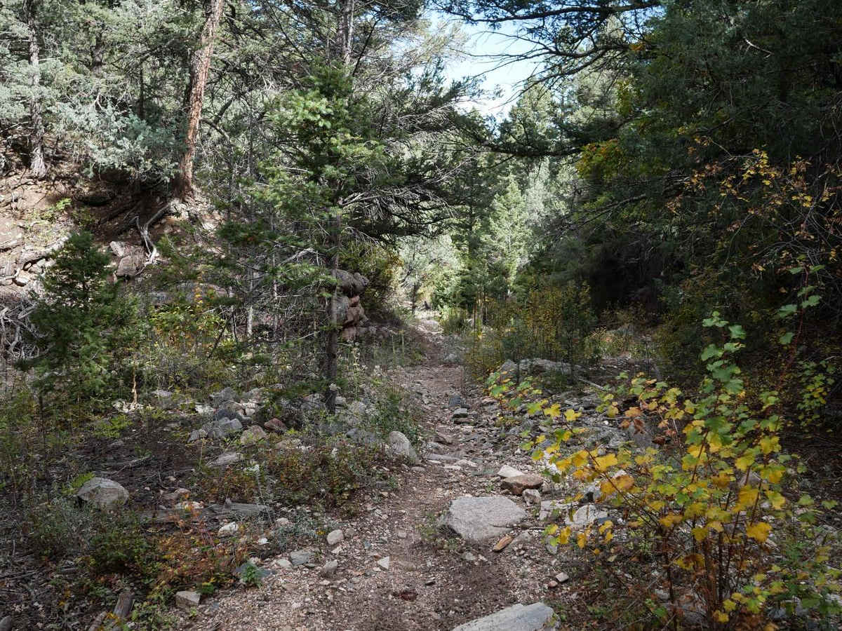 Bull Gulch Single Track - 6062 photo 6