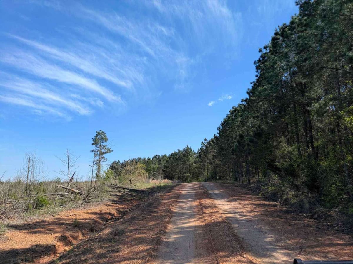 Polk Road photo 6