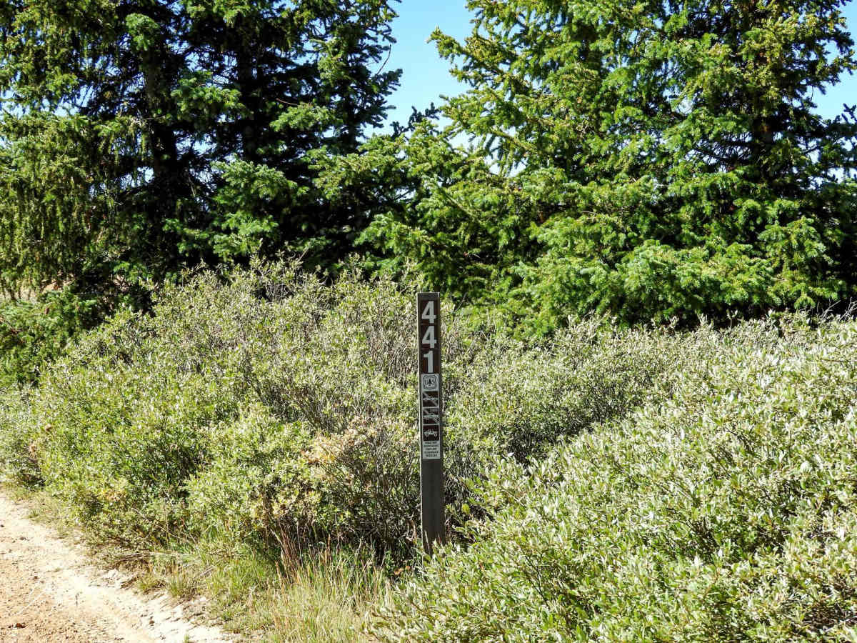 High Park Road FR 441 photo 5