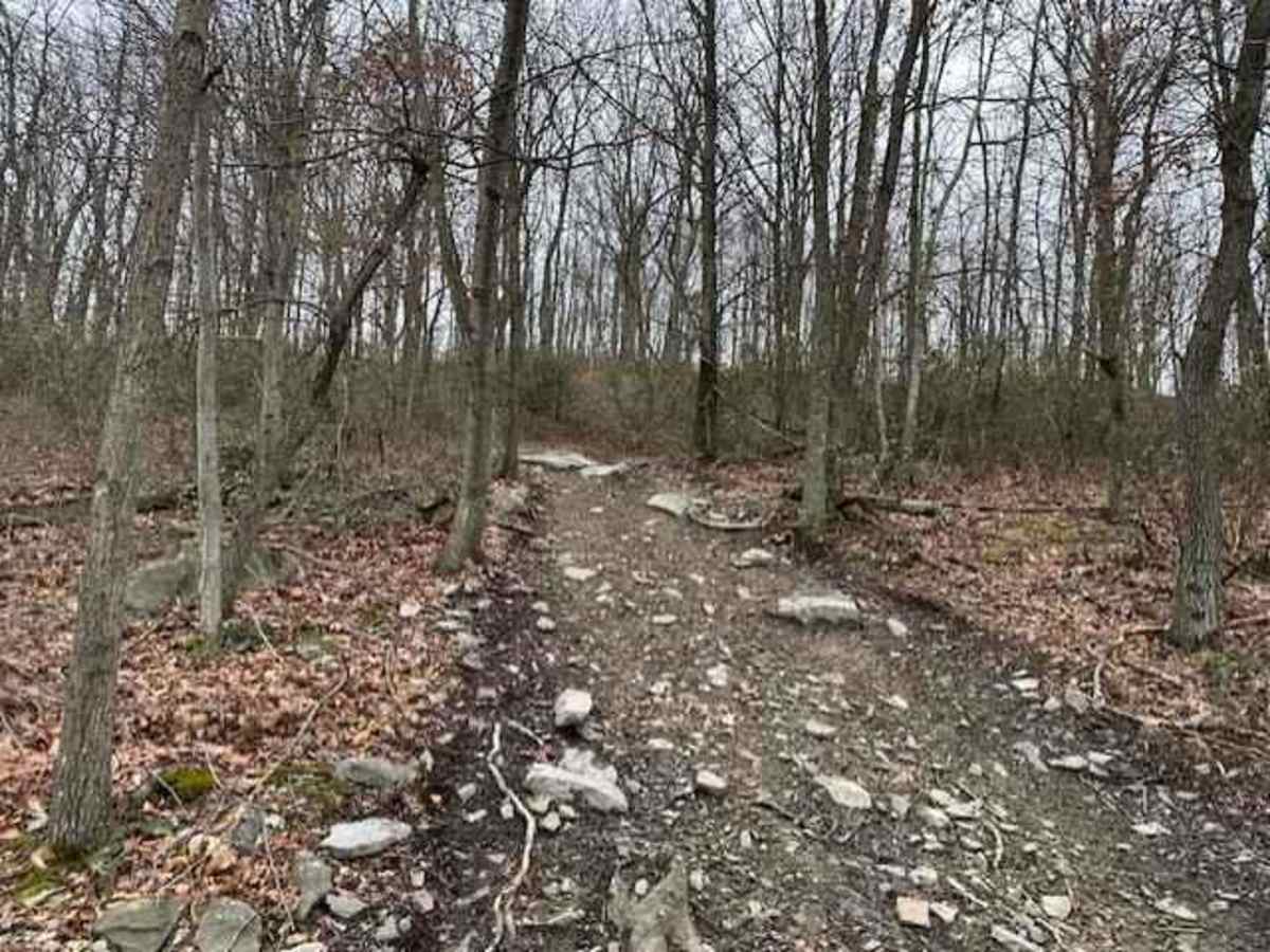 Darkwater 56 photo 3