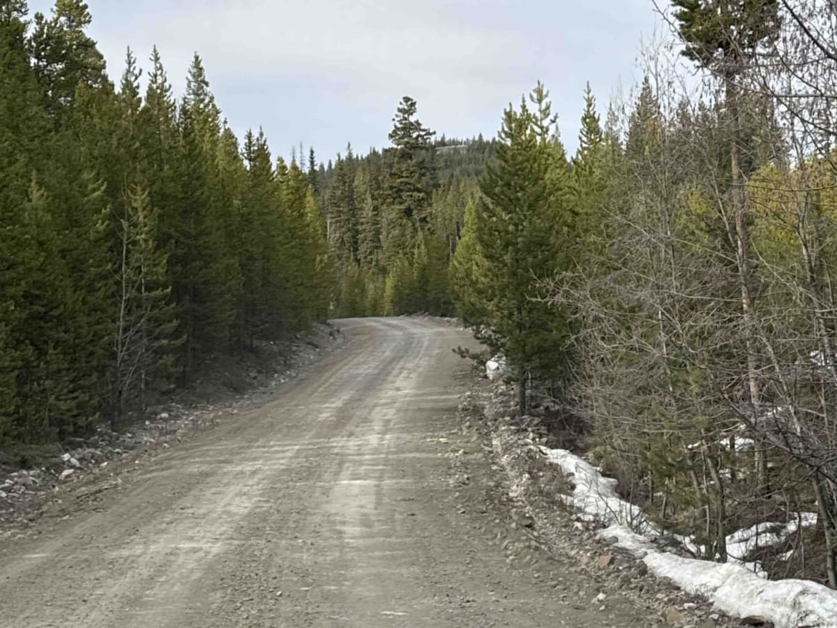 Shrimpton FSR to Buck Lake Recreation Site photo 3