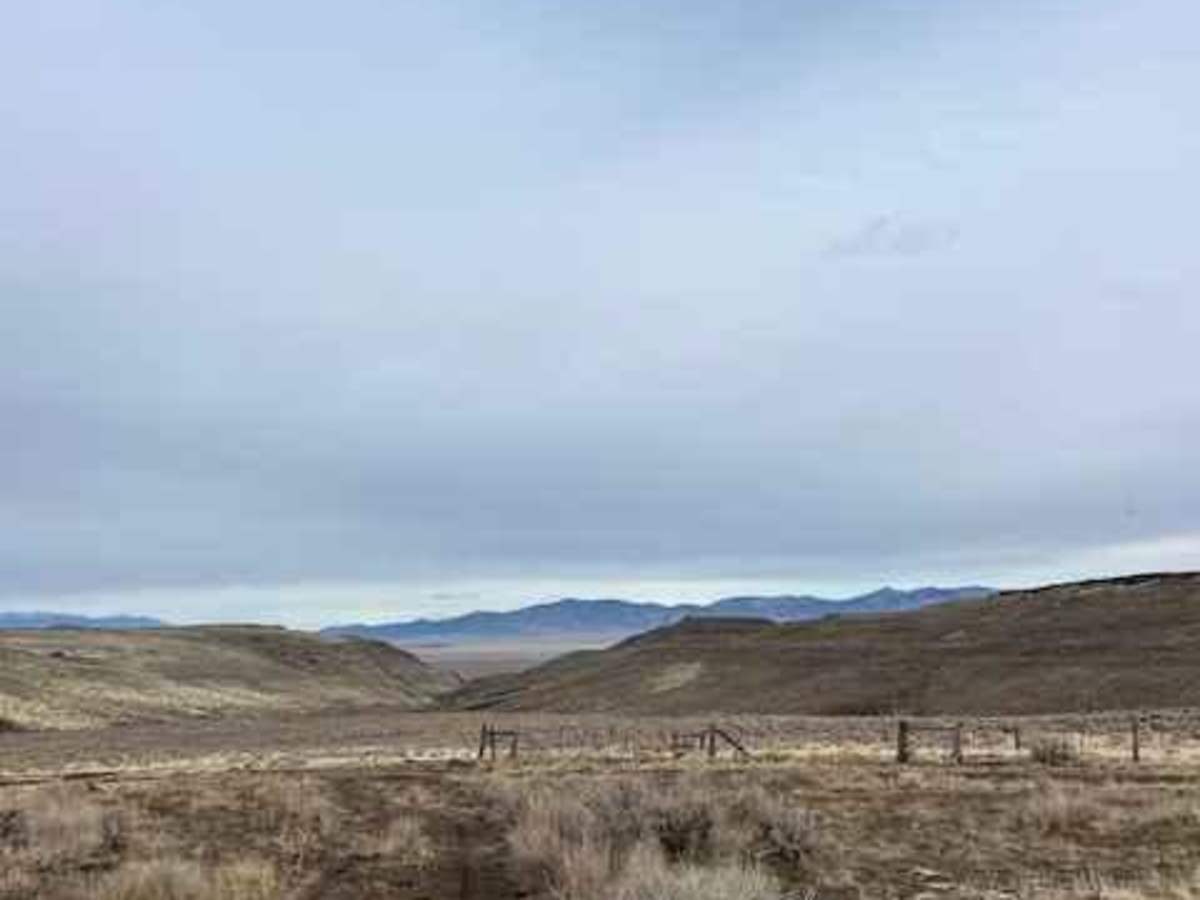 Jackrabbit Run photo 2