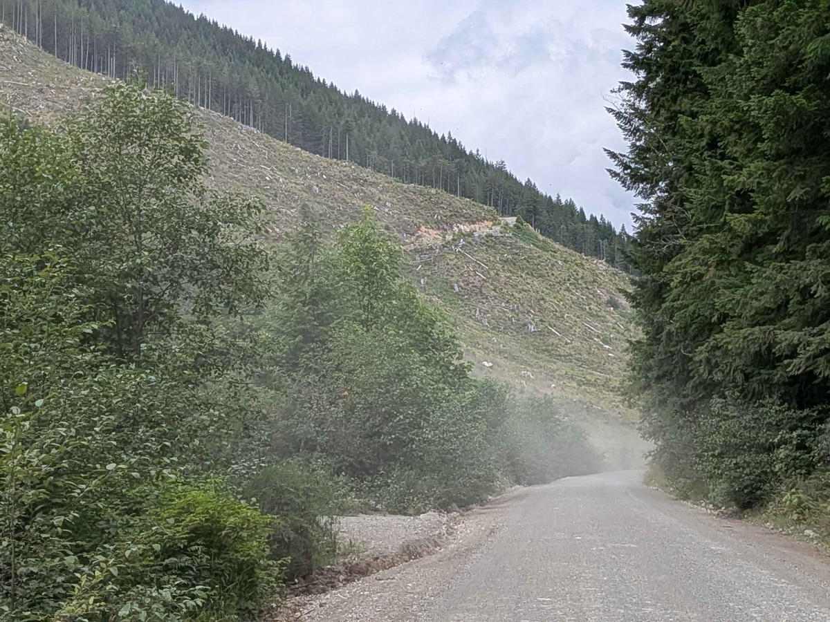 Gordon River Road North photo 2