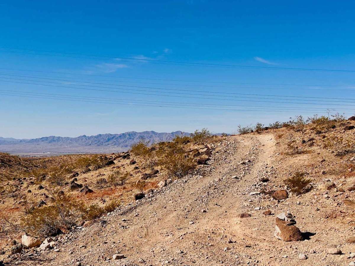 Wheeler Wagon Trail West photo 6