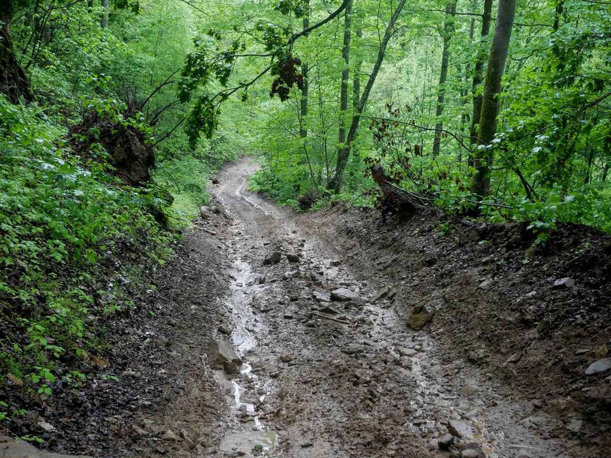 RH 28 trail photo