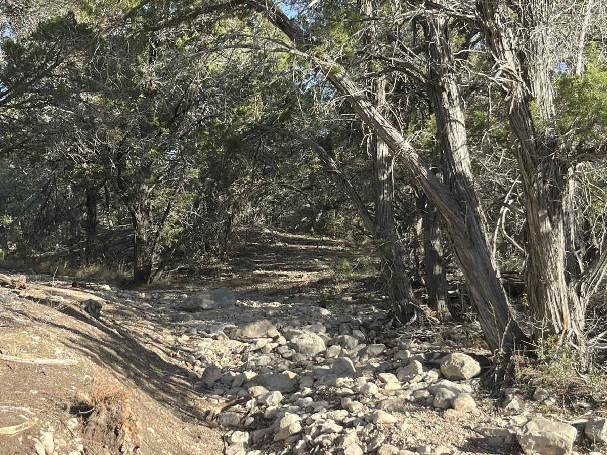 Tank Trap Trail - V31 trail photo