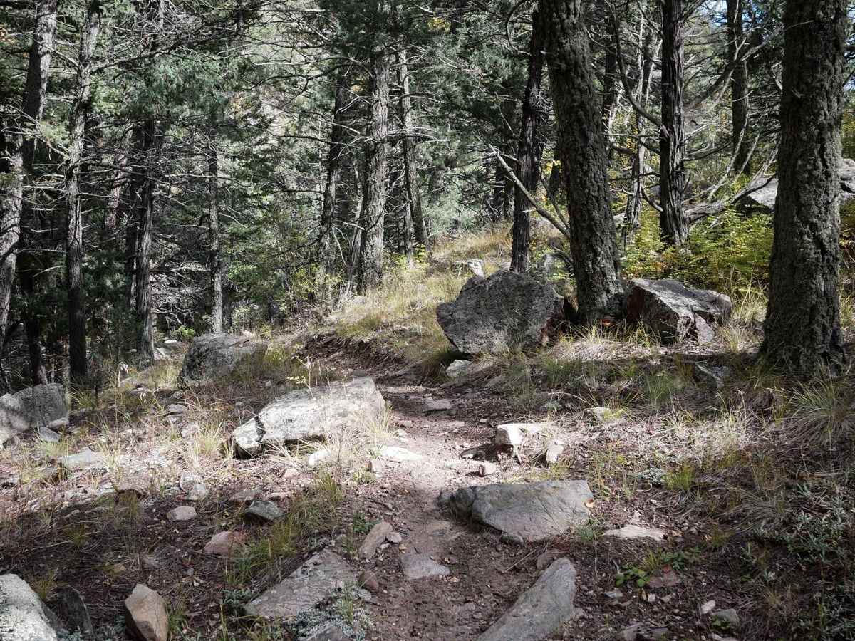 Bull Gulch Single Track - 6062 photo 3