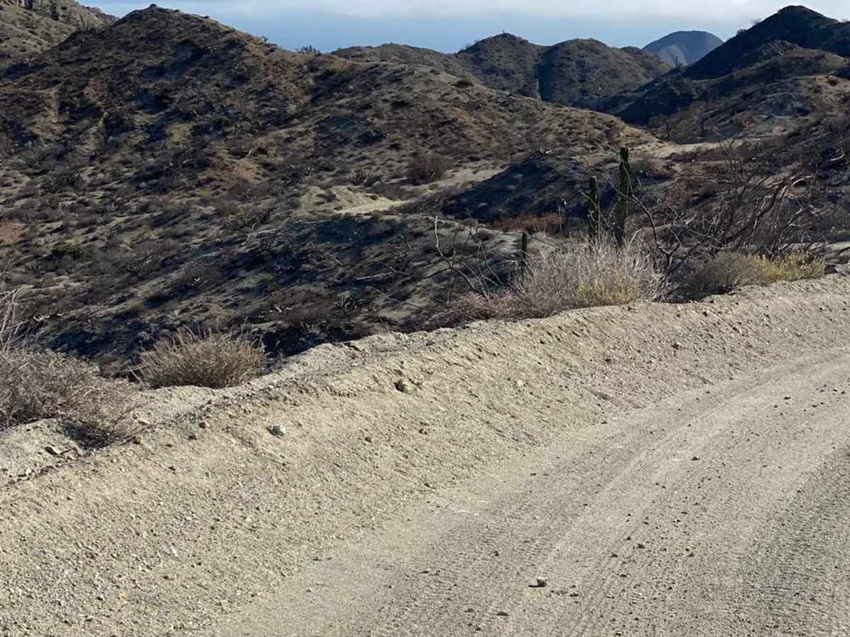 San Pablo Canyon Road and More photo 3
