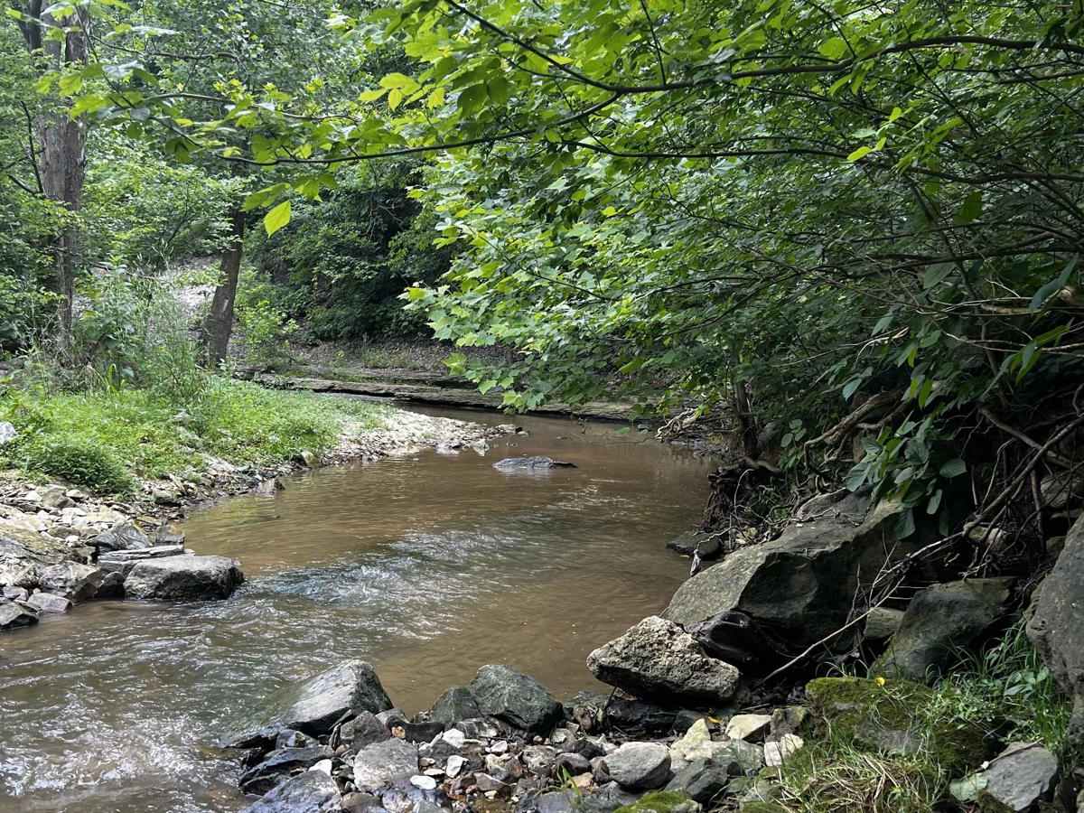 Clear Creek photo 5
