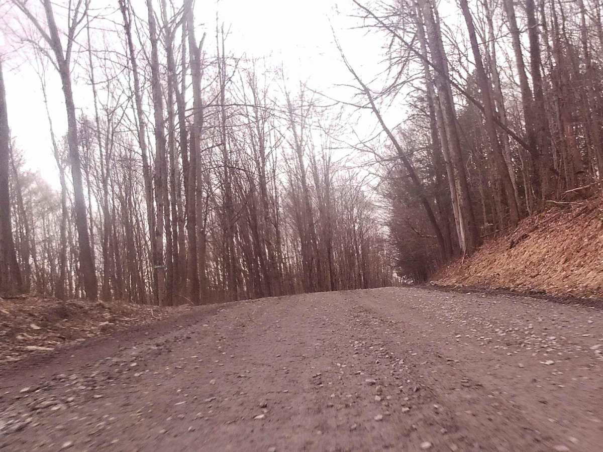 Reagan Hill Road photo 2