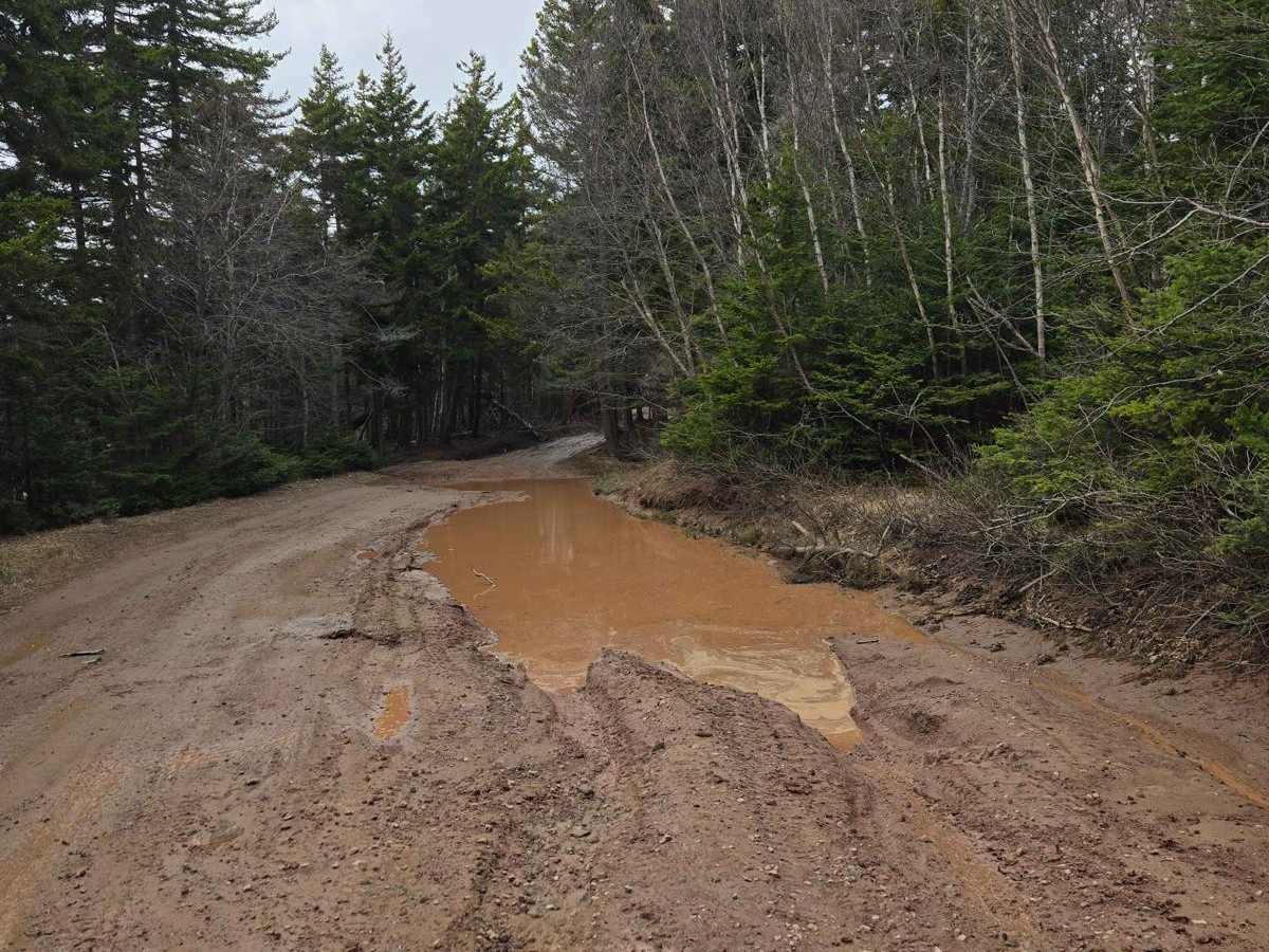 Beaumont Road photo 4
