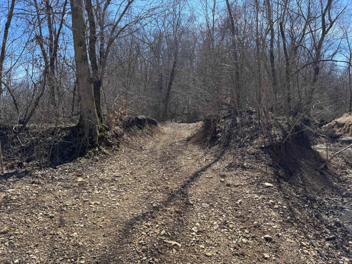 Green 379 trail photo