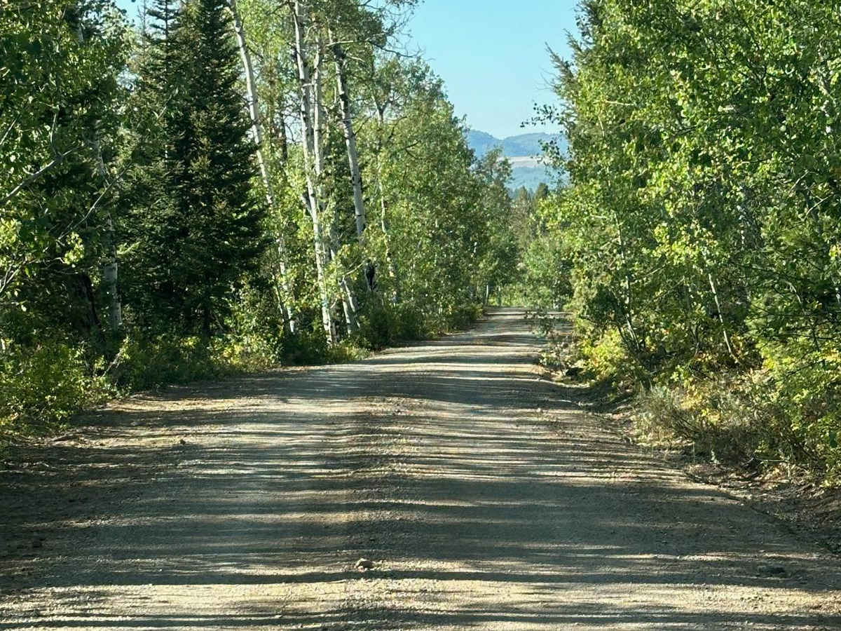 Elk Valley photo 5