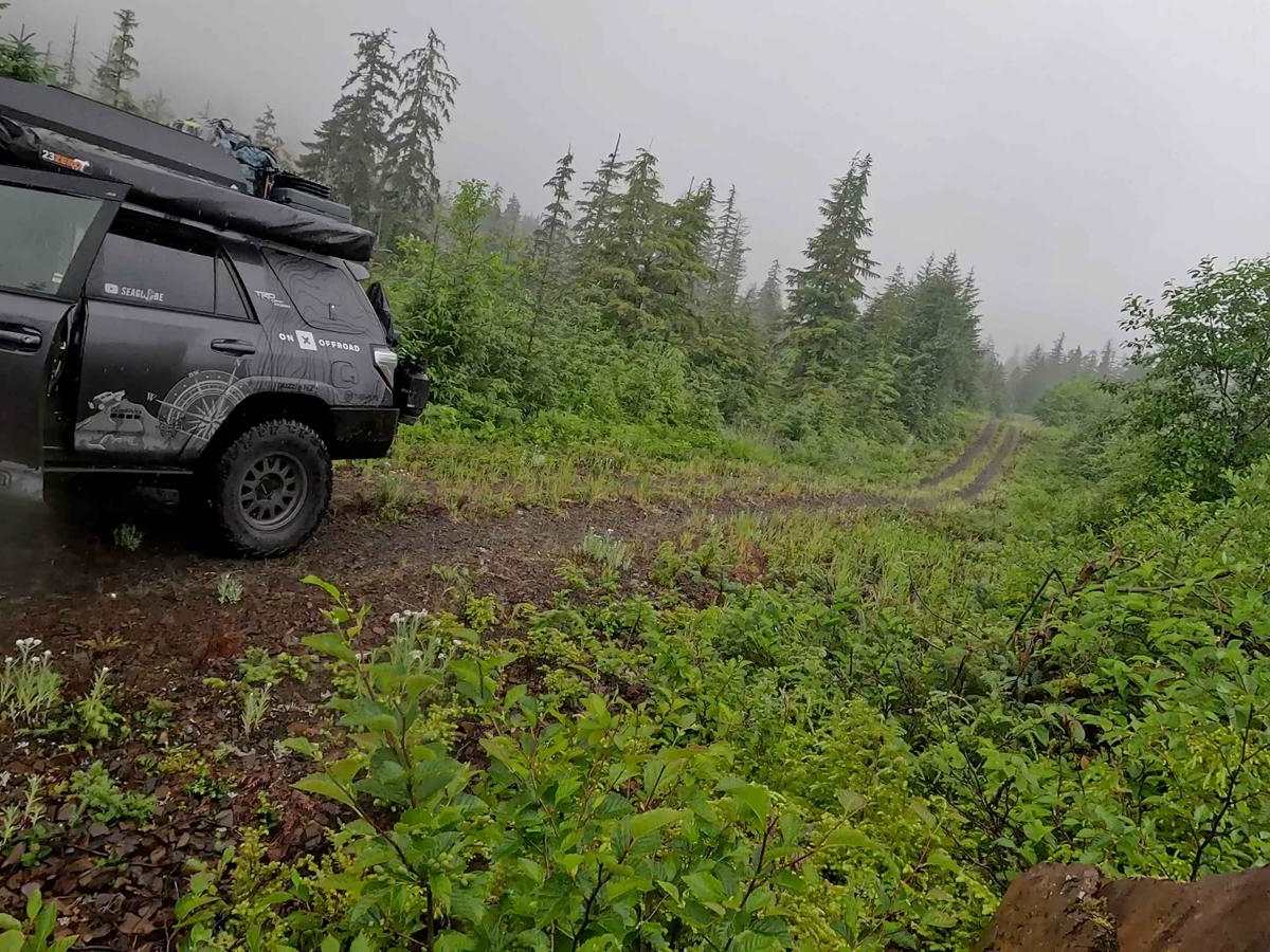 Sumner Pass 6282 trail photo