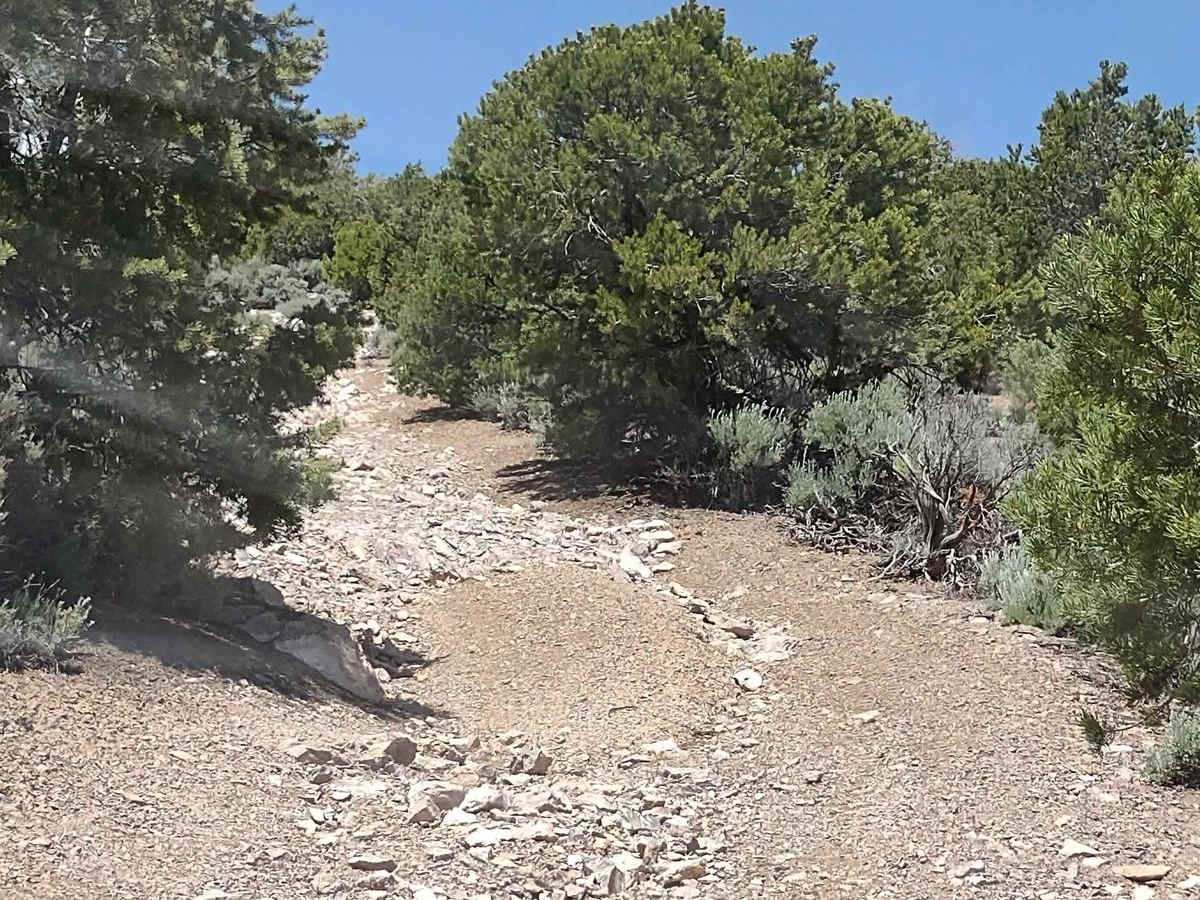 West Angle Road to Sam's Cabin photo 6