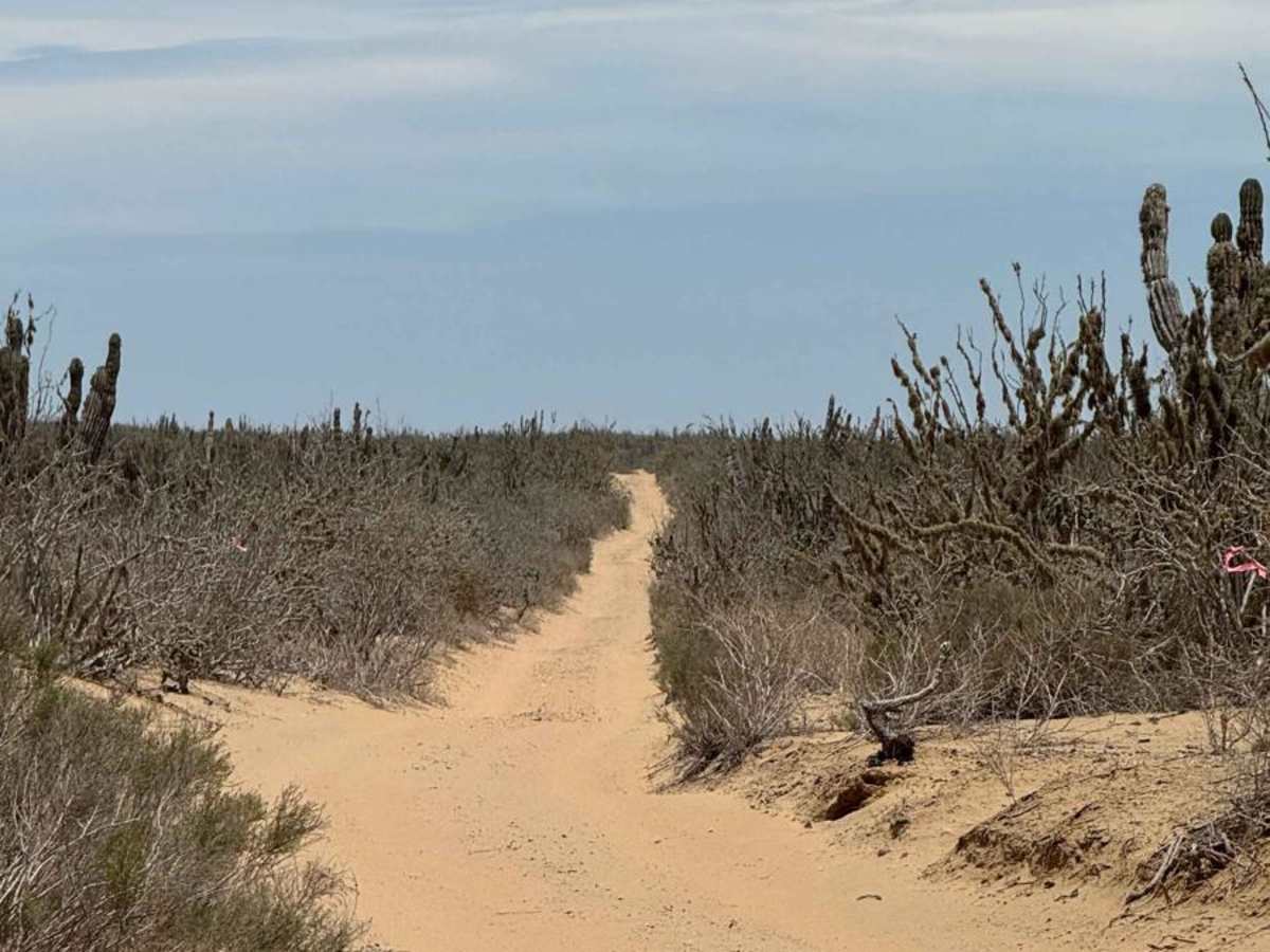 Guatamota Dunes photo 2