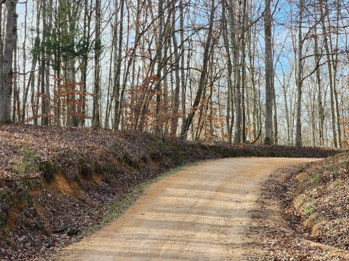 Tyler Ridge Road photo 6