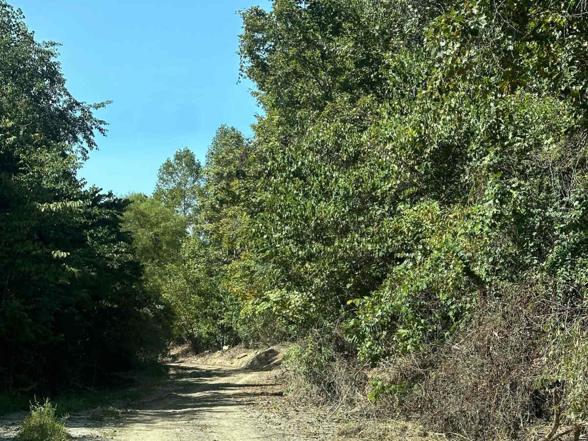 209 photo 6