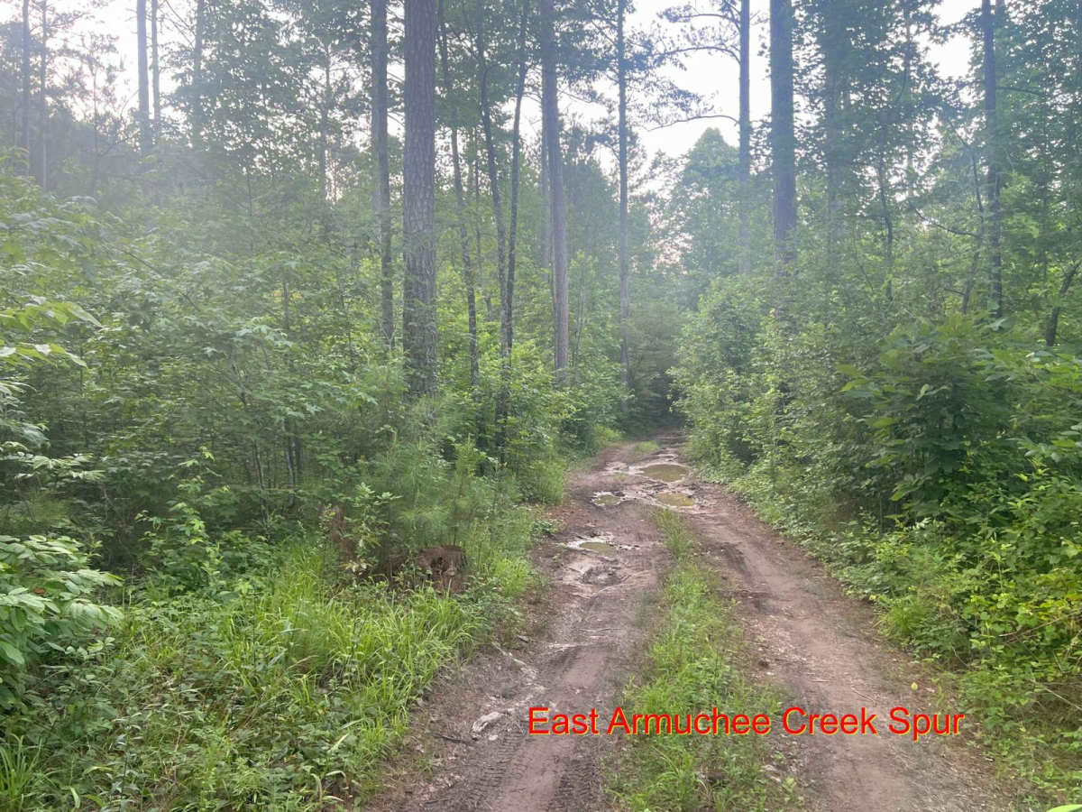 East Armuchee Creek - Forest Road 310 photo 6