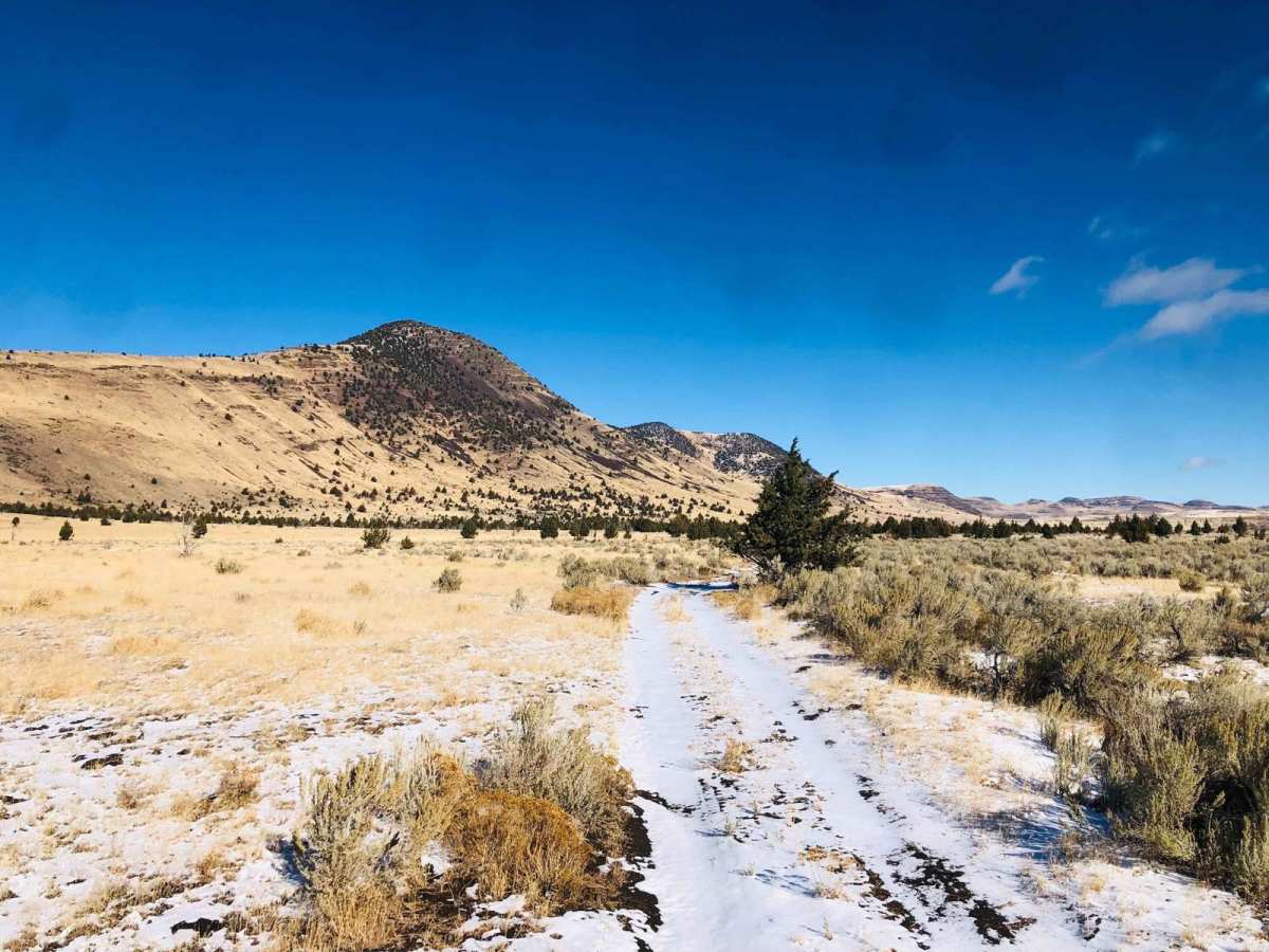 Lakebed Cutover photo 4