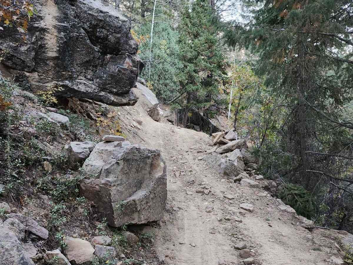 Camp Jackson Trail photo 6