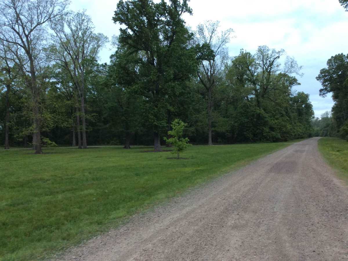Three Rivers WMA - Grand Bay Trail photo 4