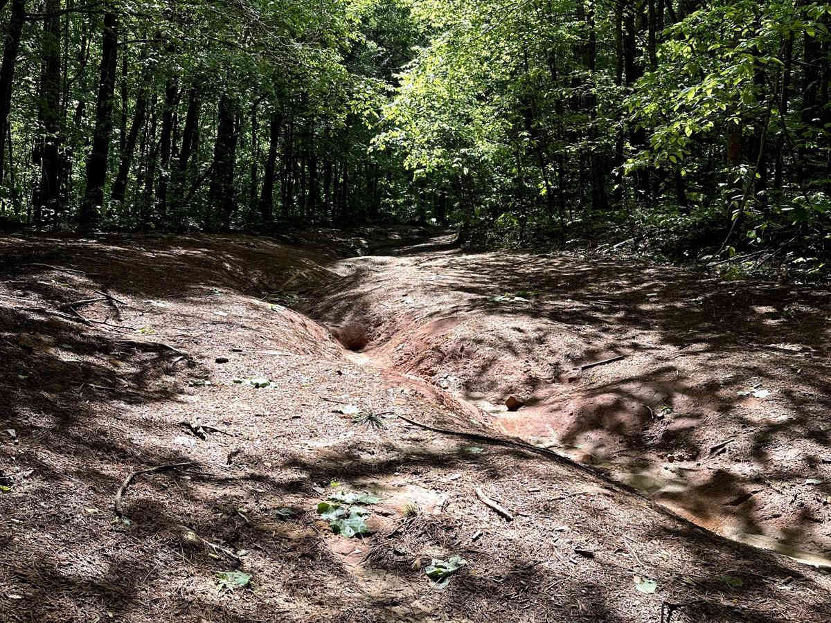 Nimblewill Road photo 4