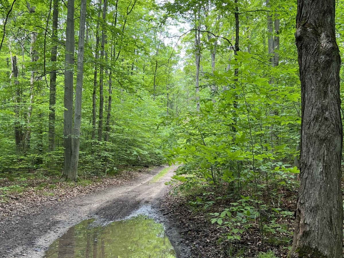 CR 489 to Avery Lake trail photo