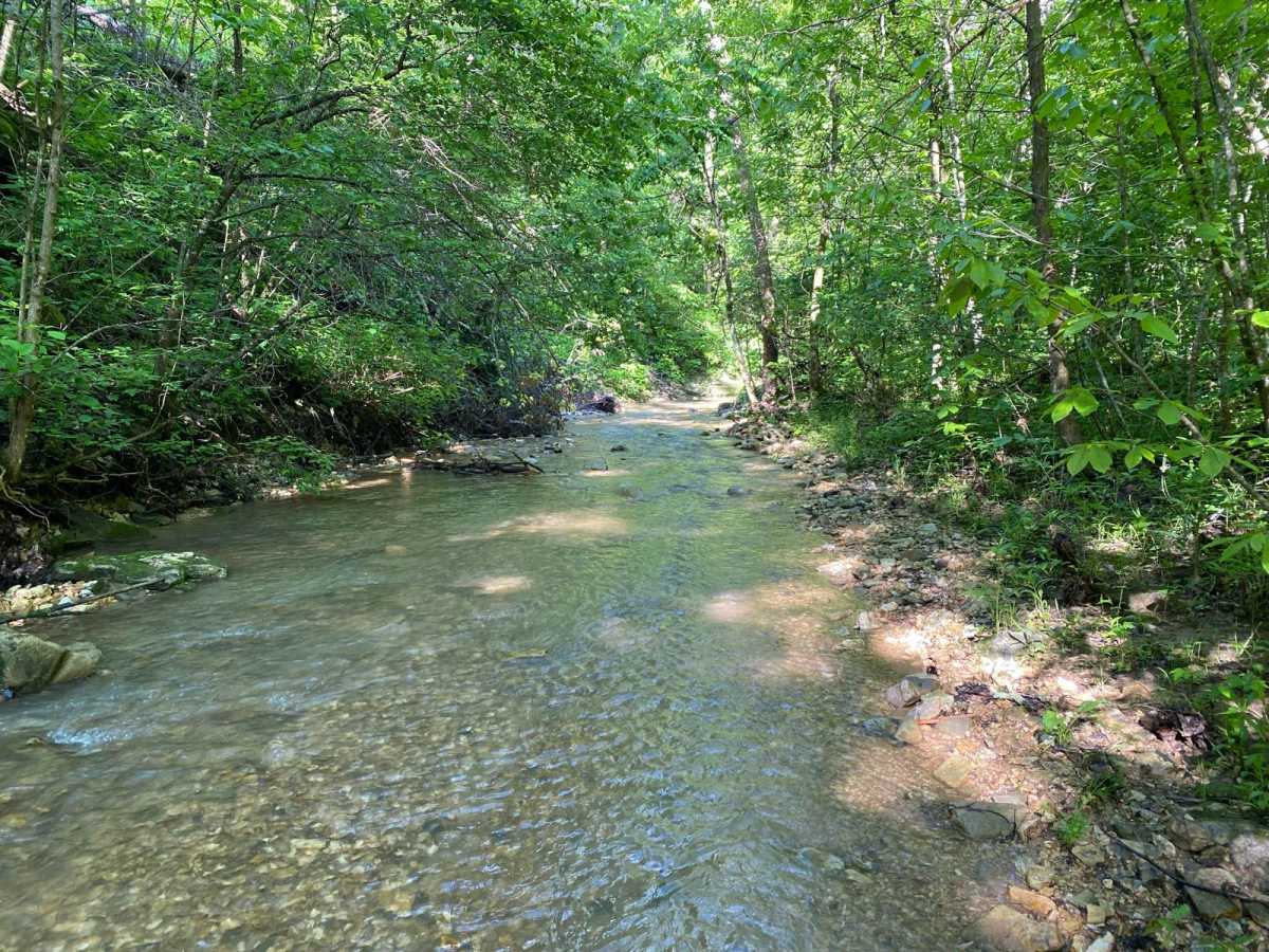 Whitey's Hideout photo 6