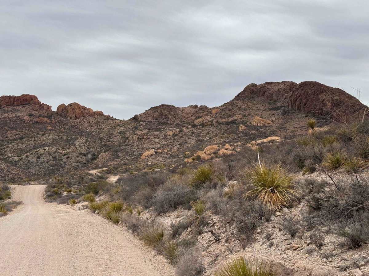 Pinto Canyon Road photo 5