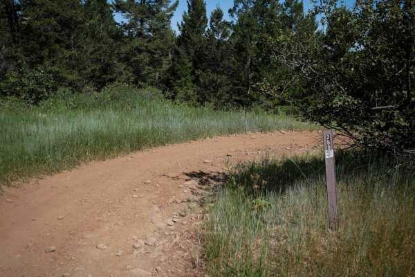 Trail Canyon East #5250 