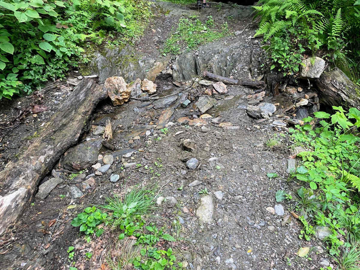 Torrey Mountain Road photo 3