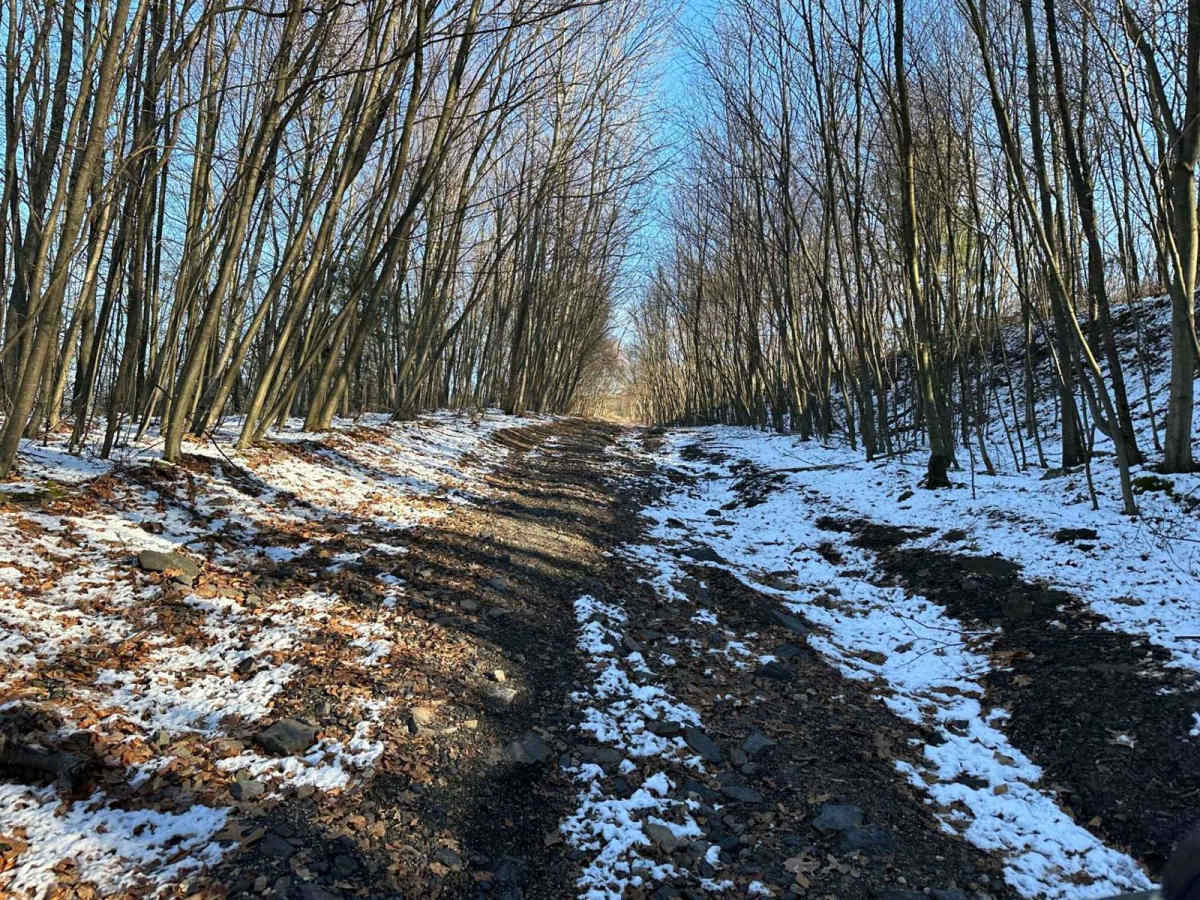 Locust Gap 75 photo 2