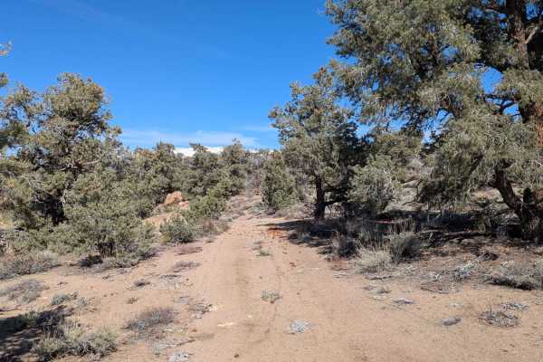 Casa Diablo Mountain FS S134