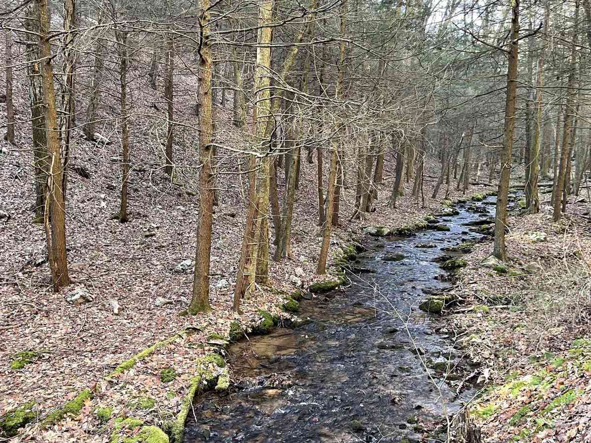 Bull Hollow Road photo 3