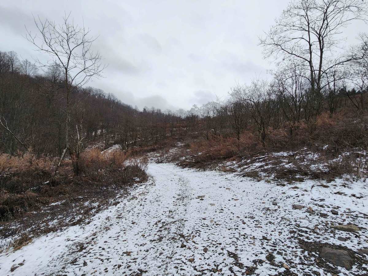 Flat Rock - Blue - Rock Run Recreation Area photo 2