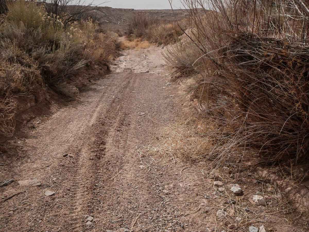 Salt Wash photo 6