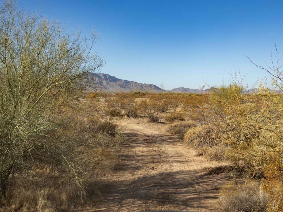Middle Jackrabbit Wash trail photo