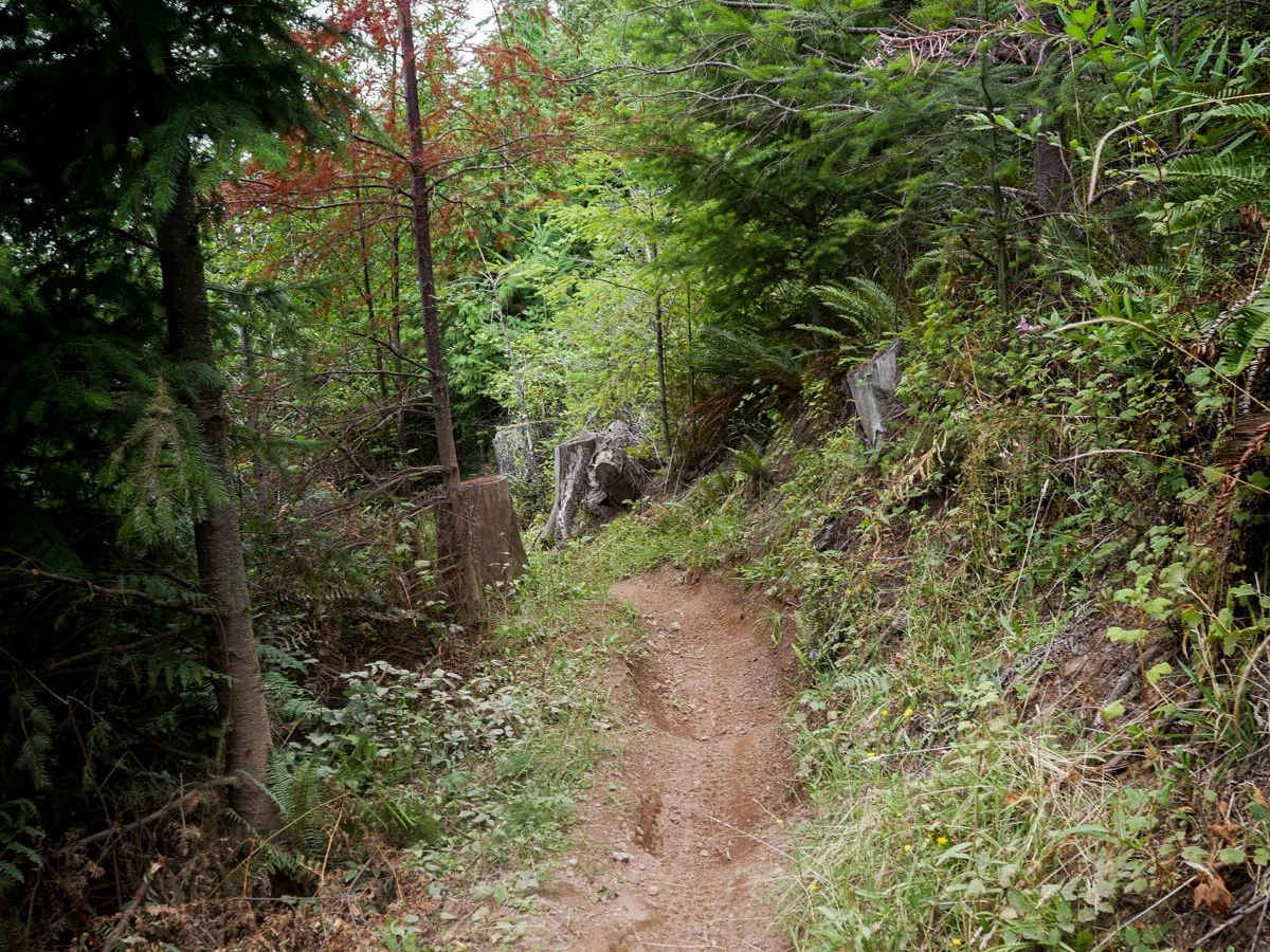 Webfoot photo 4